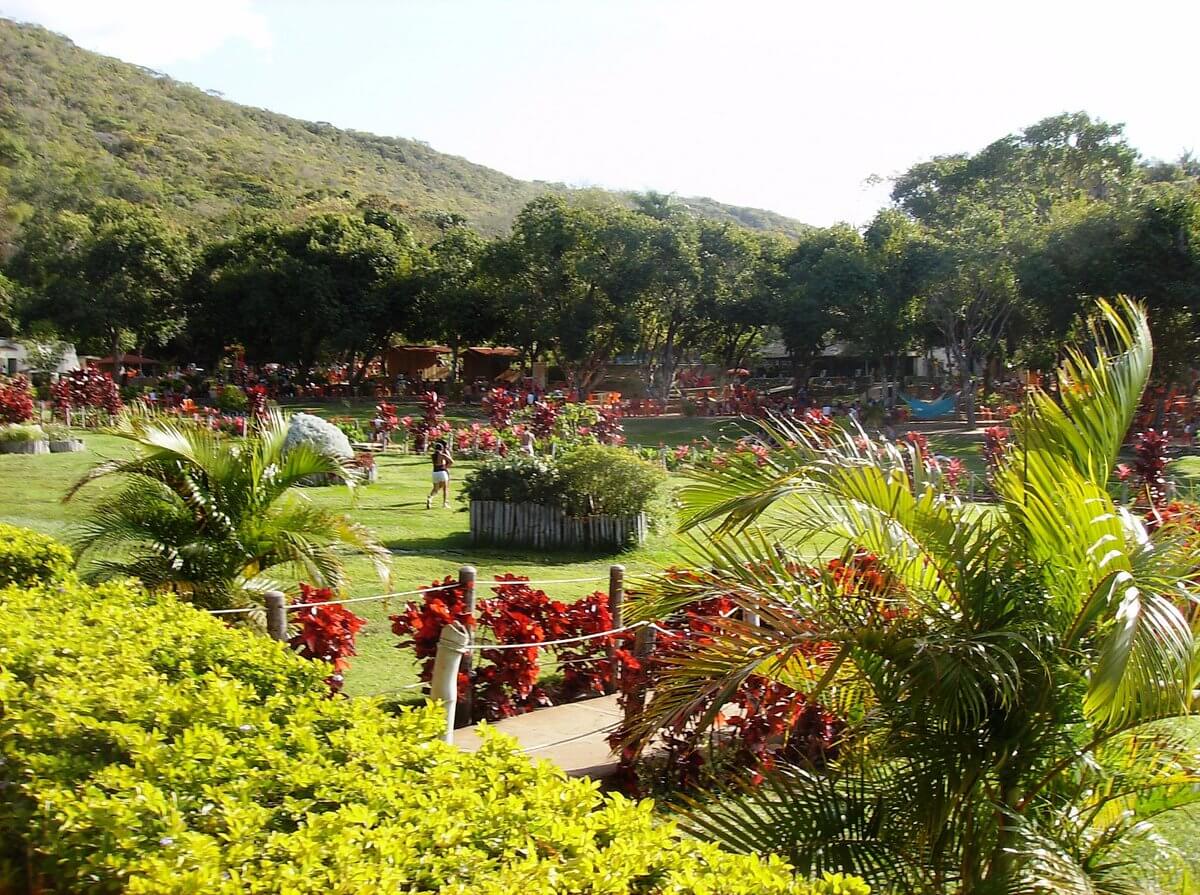 Imagem 1