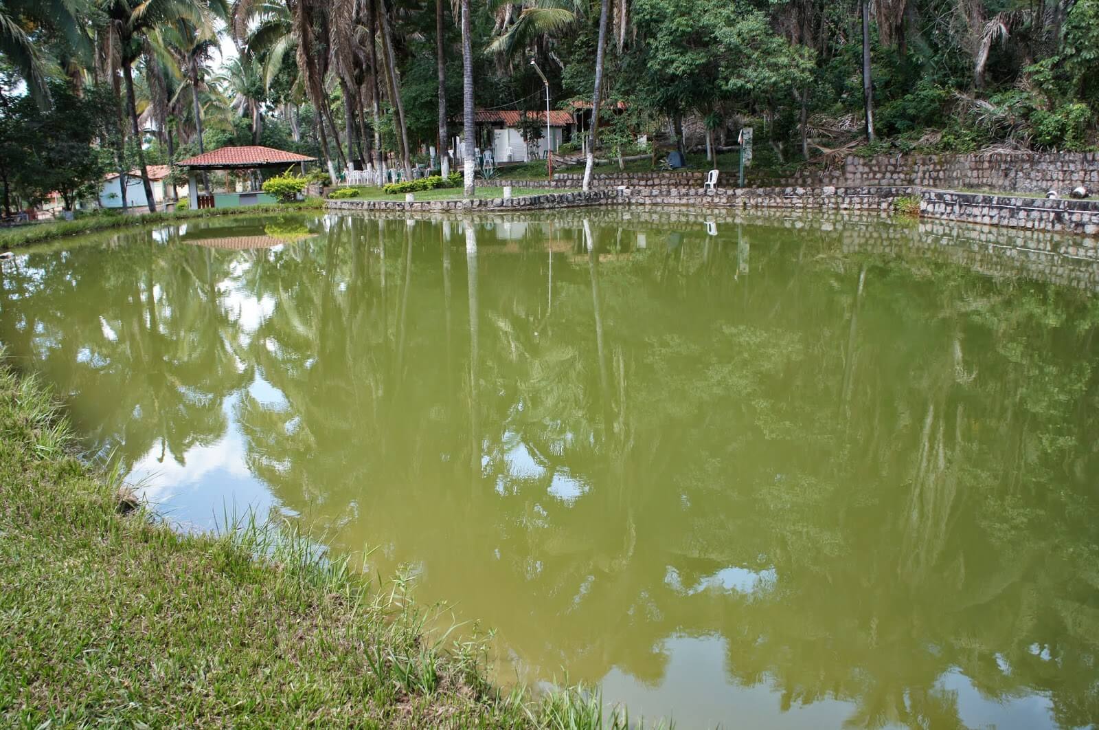 Imagem 2